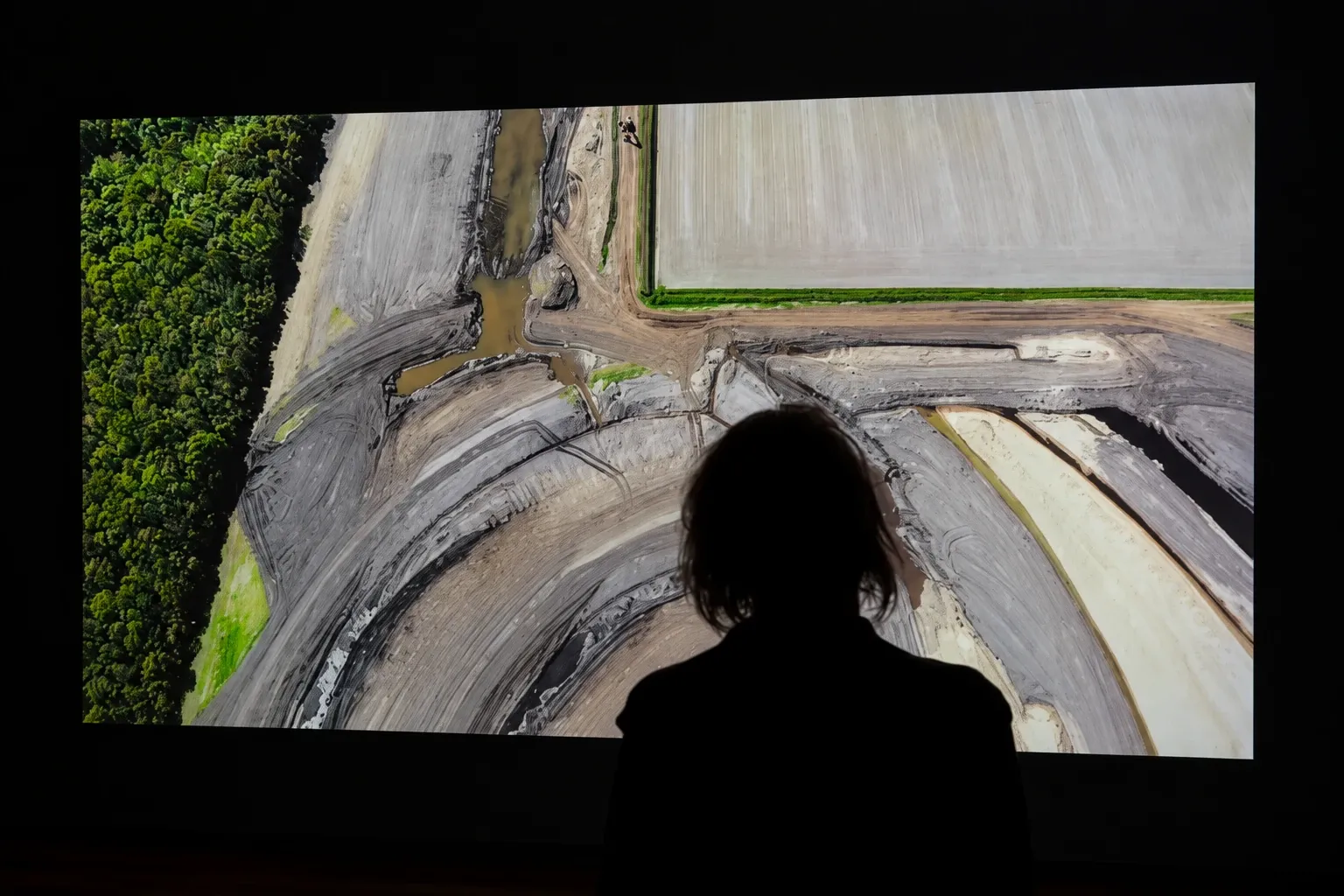 Enhanced video still of a visitor standing in front of Vignette’s large projected aerial landscape display in the dark museum room.